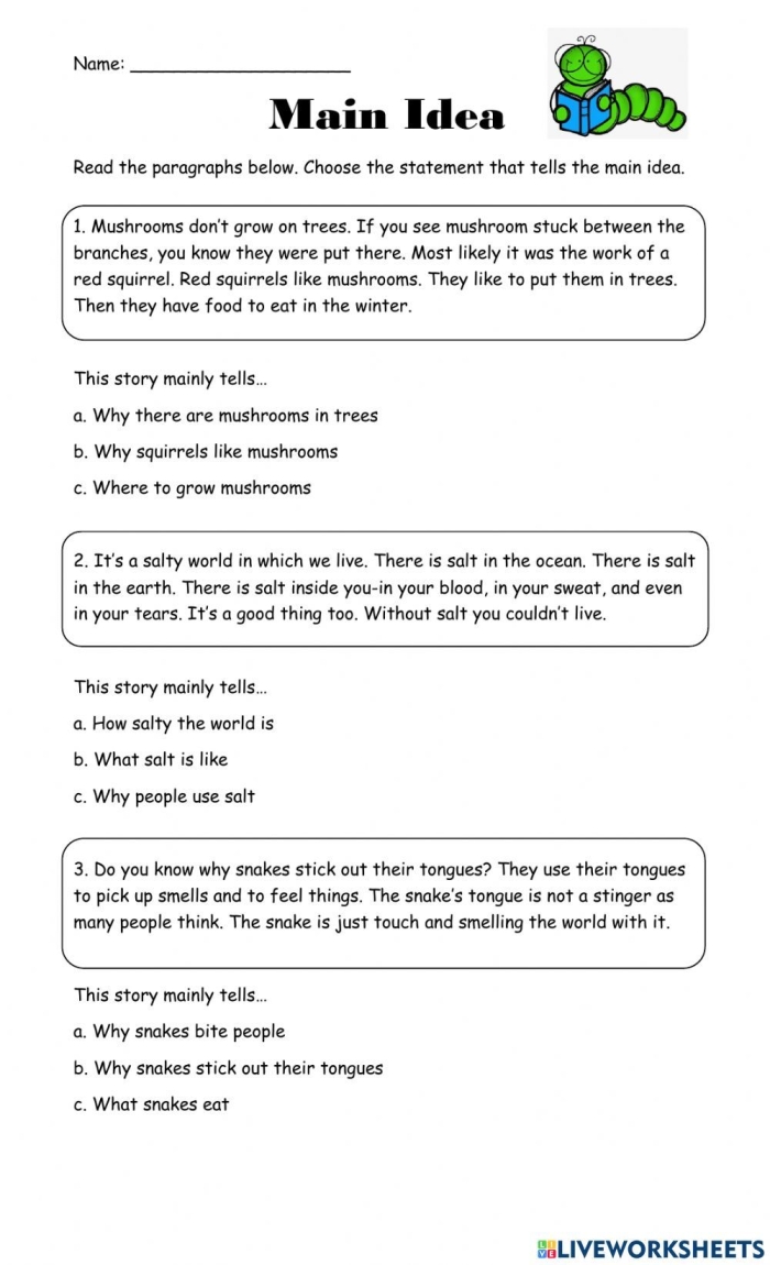 Reading Corner Main Idea and Details Worksheet Part 13 Fourth grade student reading a short passage to identify the main idea and supporting details