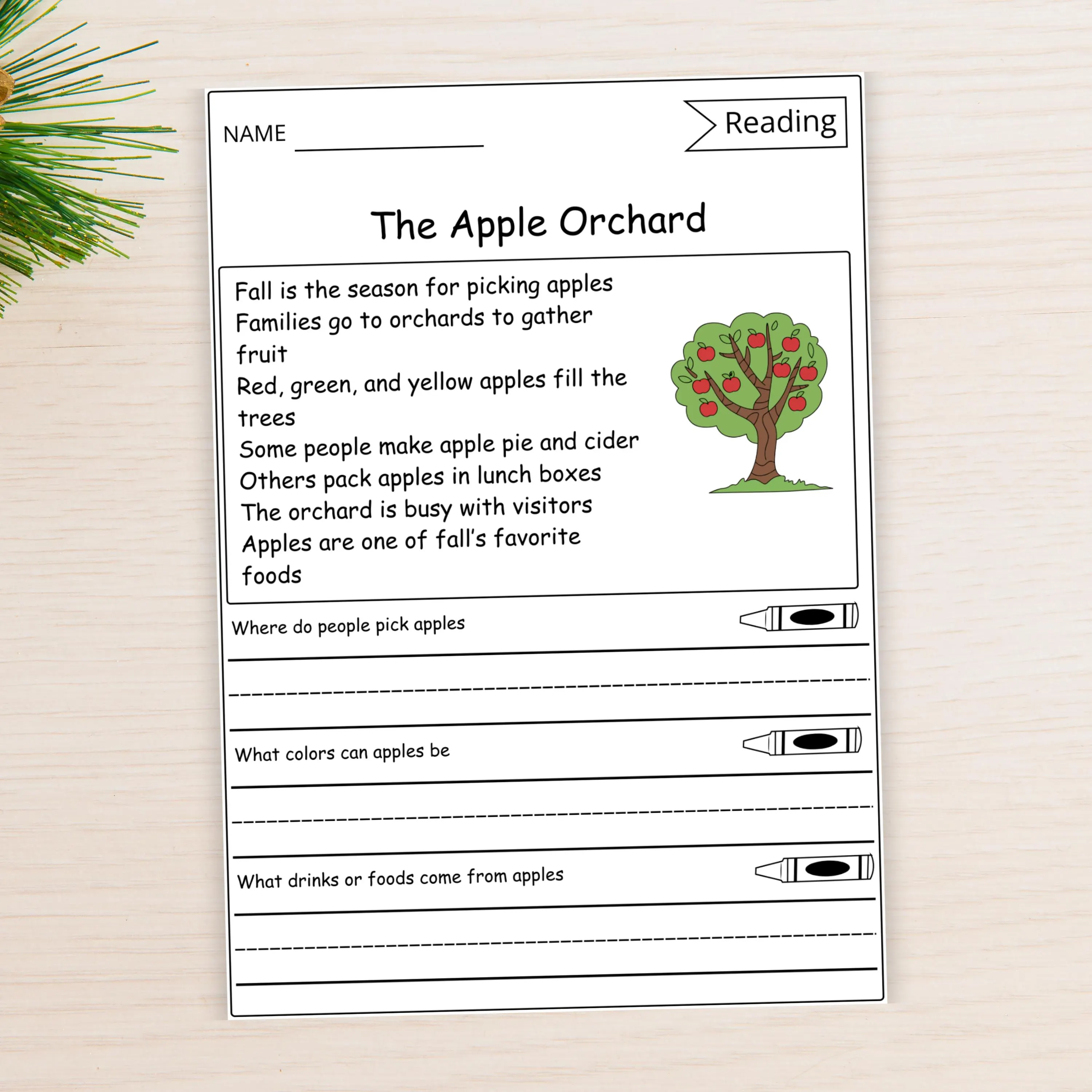 Second grade students practicing reading fluency skills with an apple picking themed activity sheet