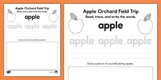Second grade student practicing reading fluency with an apple picking themed worksheet