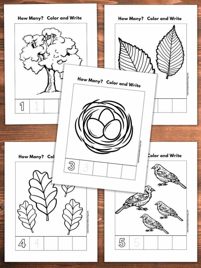 Recognizing Numbers to 20 Worksheet 10 Kindergarten student worksheet for counting and identifying numbers from one to twenty