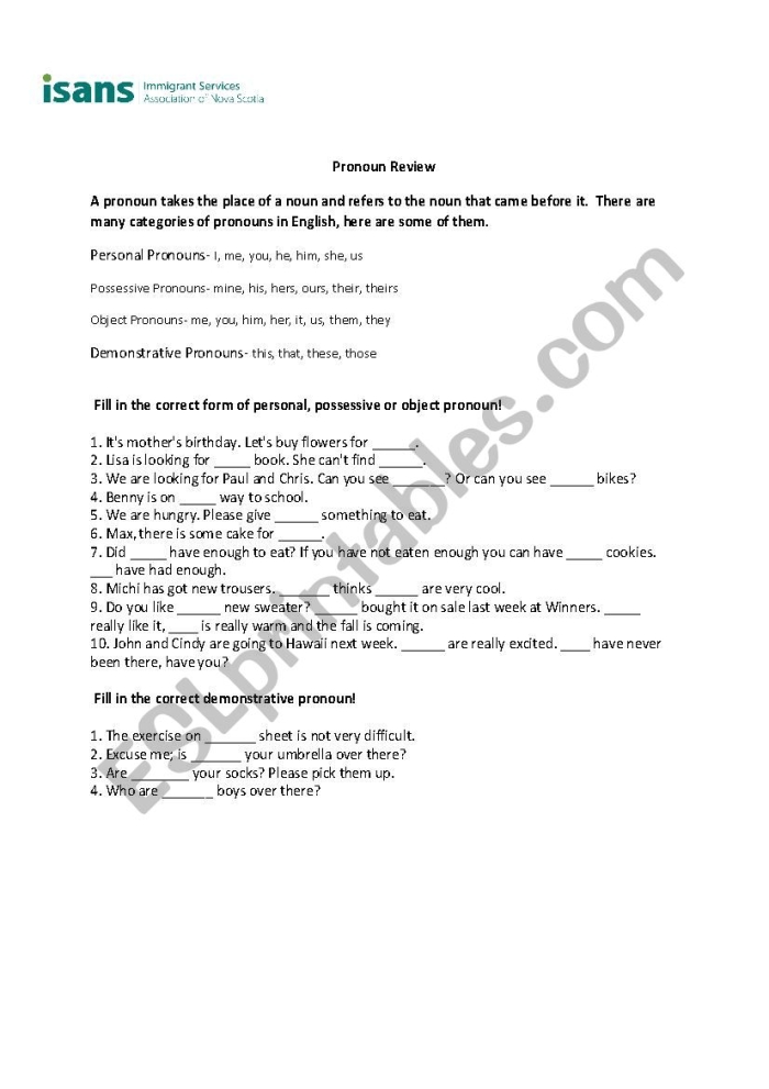 Advanced Pronoun Review Worksheet for Sixth Grade Phonics Lesson 15 Sixth grade student filling out an Advanced Pronoun Review worksheet on reflexive and intensive pronouns