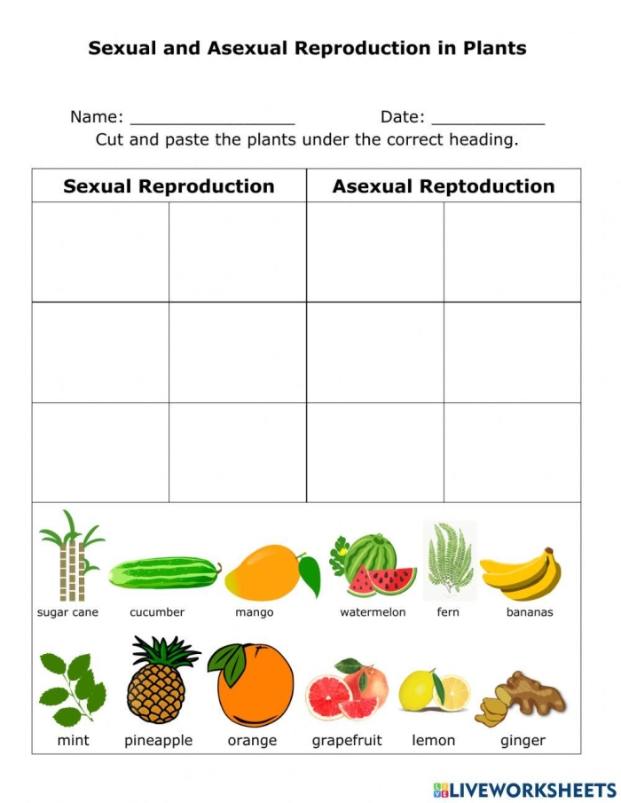 Sixth grade science worksheet comparing sexual and asexual reproduction methods for students