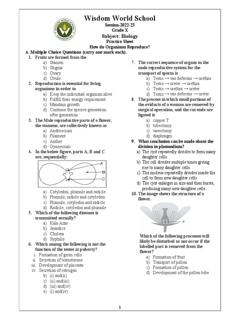 Sixth grade science worksheet showing diagrams comparing asexual and sexual reproduction methods in various organisms with labeled examples