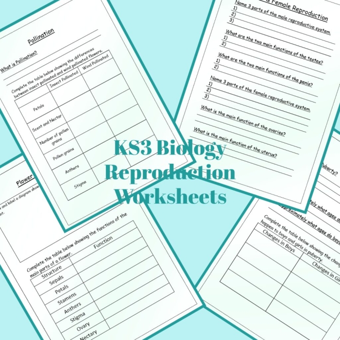 Sixth grade science worksheet comparing sexual and asexual reproduction methods
