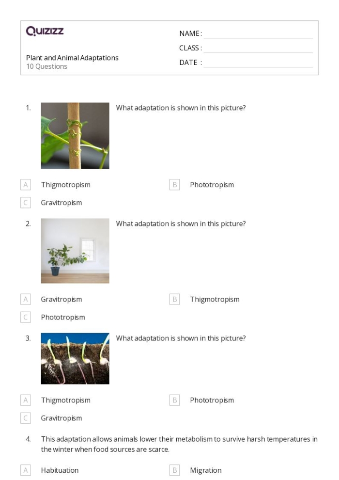 Animals displaying courtship behaviors and mating rituals to ensure reproductive success and species continuation