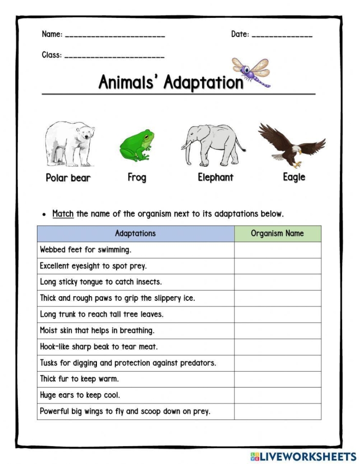 Sixth grade science worksheet on animal reproductive strategies and survival adaptations