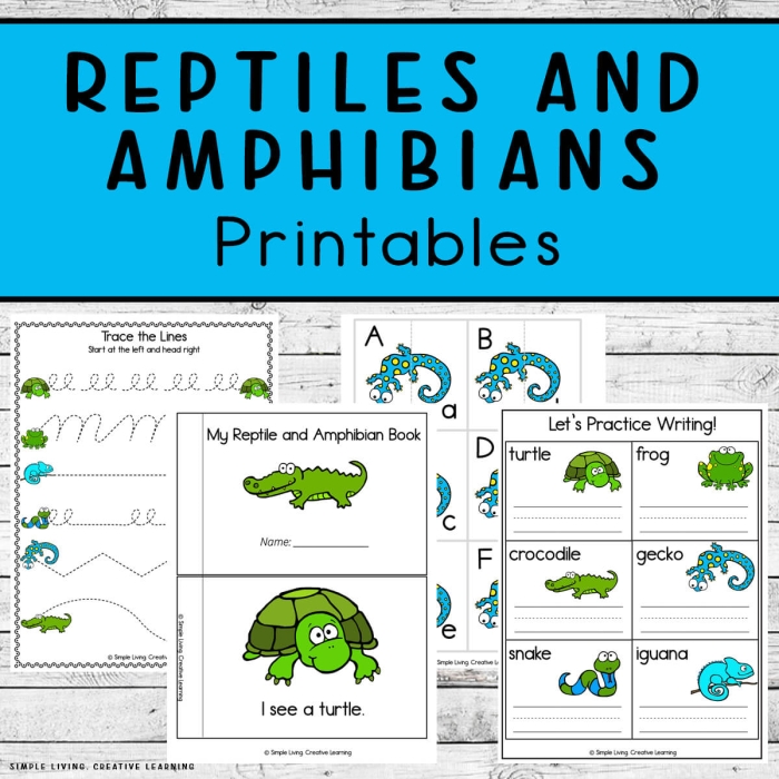 Worksheet featuring amphibians and reptiles found in Yellowstone National Park for third graders
