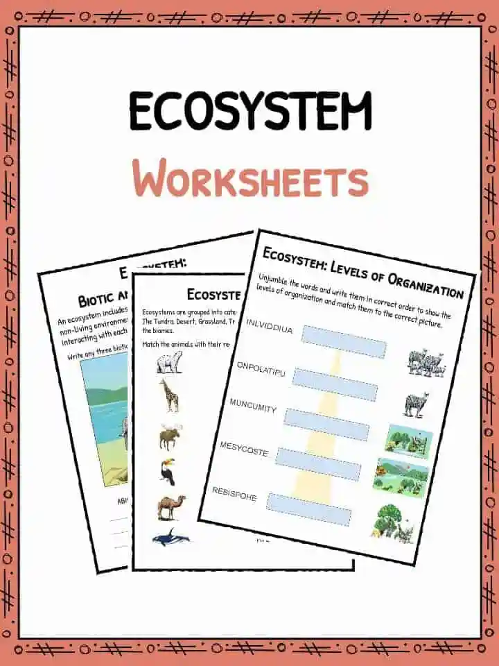 Students engaging with a Research an Ecosystem worksheet, creating models for their chosen ecosystems. Life science worksheet for sixth graders focusing on ecosystem research and creativity.