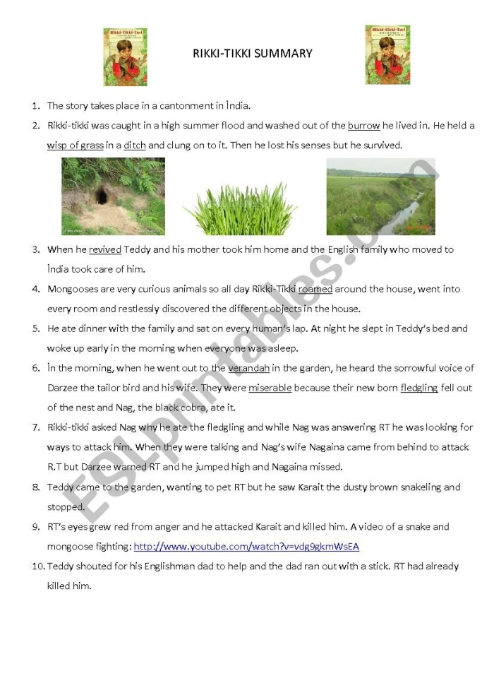 A young mongoose named Rikki-tikki-tavi stands alert in a garden setting from the classic Kipling story for sixth-grade reading comprehension practice