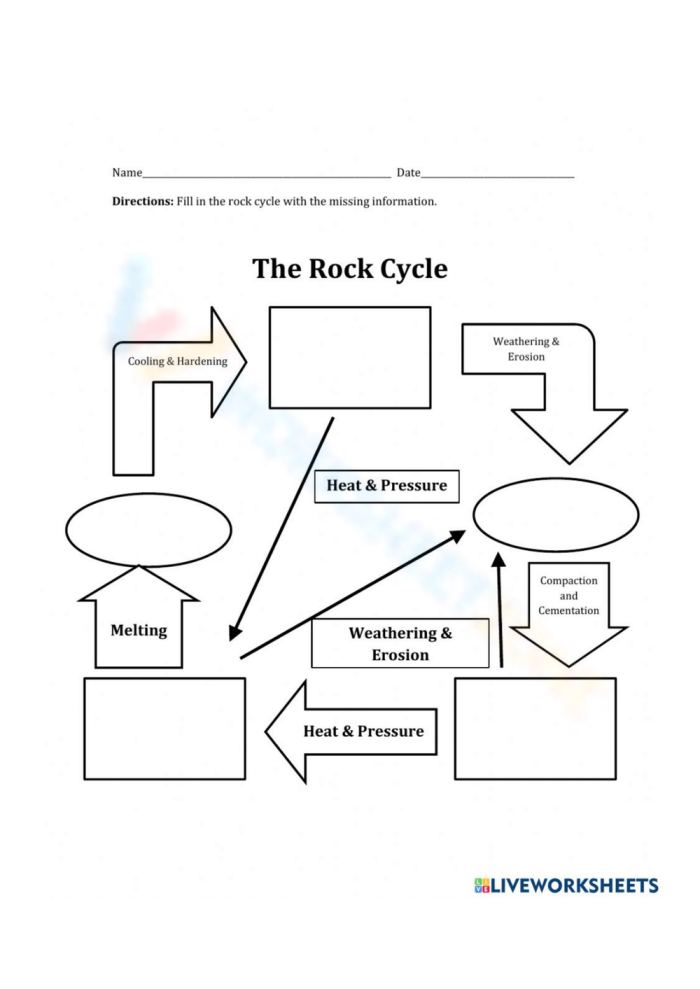 The Rock Cycle Explained: Educational Worksheet Diagram for Elementary Earth Science Colorful diagram showing the rock cycle process with arrows connecting igneous, sedimentary, and metamorphic rocks with labeled vocabulary terms for third grade students