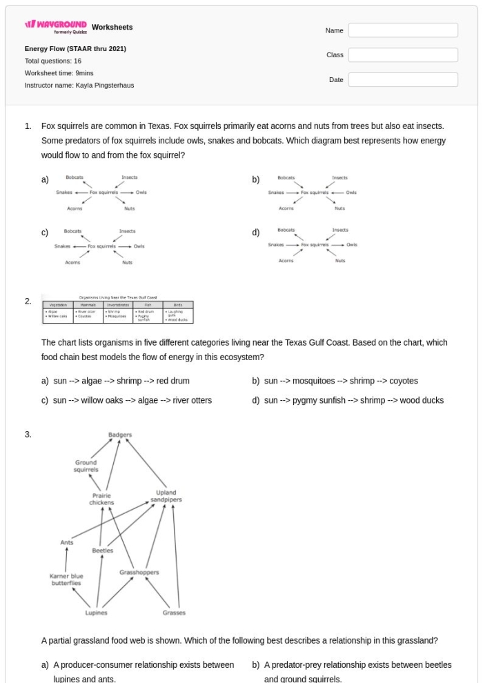 Sixth grade students solving a science problem about energy flow in the rock cycle worksheet 12