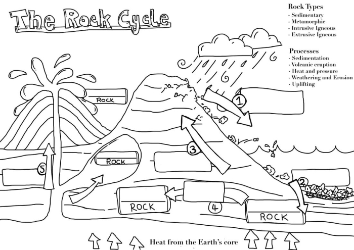 Worksheet exploring the rock cycle with a quiz and informative paragraph for fourth graders