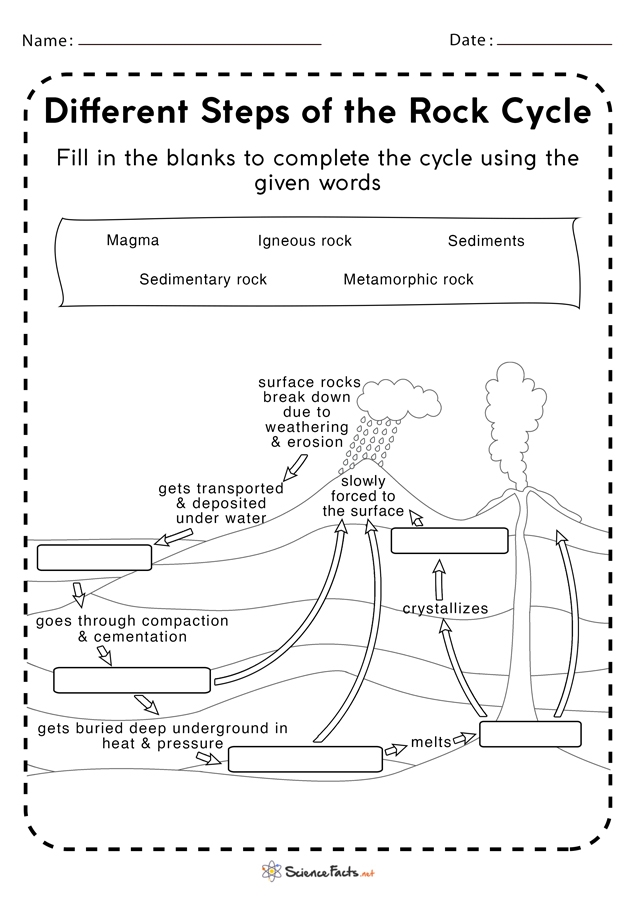 The Rock Cycle Process Diagram with Key Vocabulary Terms for Elementary Learners Colorful diagram showing the three stages of the rock cycle with labeled arrows connecting igneous, sedimentary, and metamorphic rocks for third grade students