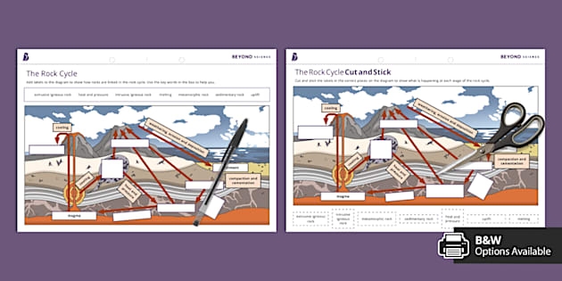 Vocabulary worksheet for the rock cycle featuring 12 terms and their definitions for sixth graders