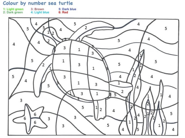 Third Grade Sea Turtle and Sea Stars Rounding Color by Number Worksheet 2 Rounding to the nearest hundred worksheet featuring a sea turtle and starfish for third graders