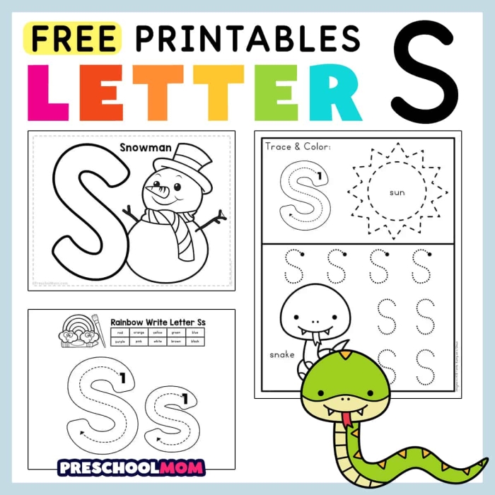 Worksheet featuring various objects that start with the letter S for phonics practice. Engaging pre-reading worksheet for kids to identify S-words.