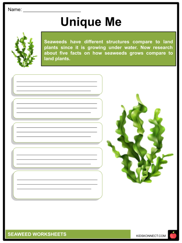 Sustaining the World With Seaweed: A Reading Comprehension Worksheet for Grade 7 Worksheet featuring informational reading comprehension questions about seaweed for seventh graders