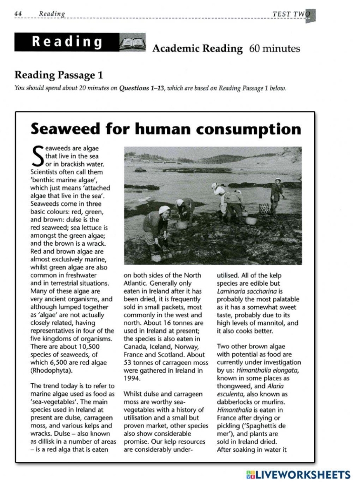 Informational Reading Comprehension Sustaining the World With Seaweed Worksheet 25 Seventh grade students practice informational reading skills by completing a four-page worksheet about the environmental benefits of seaweed.