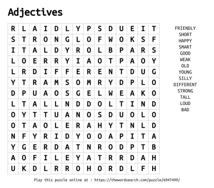 Adjective word search worksheet for second graders focused on phonics and descriptive words