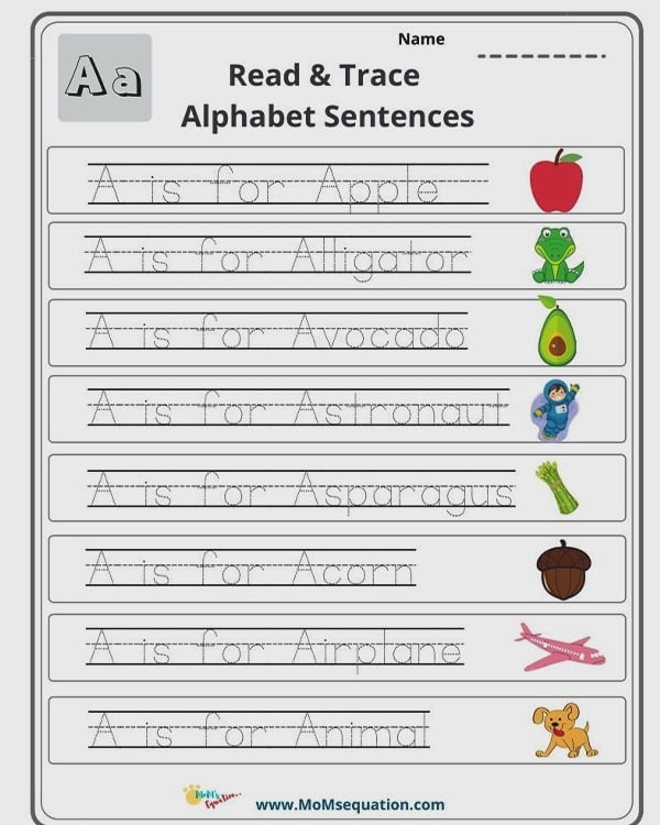 Fun worksheet for practicing alphabetical order with scrambled words Children engaged in an Alphabetical Sentences worksheet activity for second grade