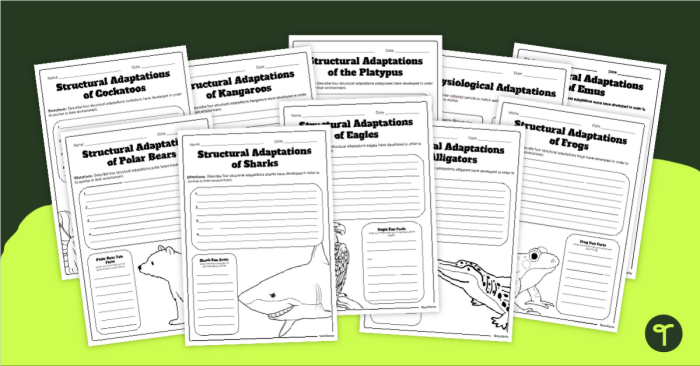 Second grade cut and paste activity showing animal behavioral and physical adaptation examples with sorting sections