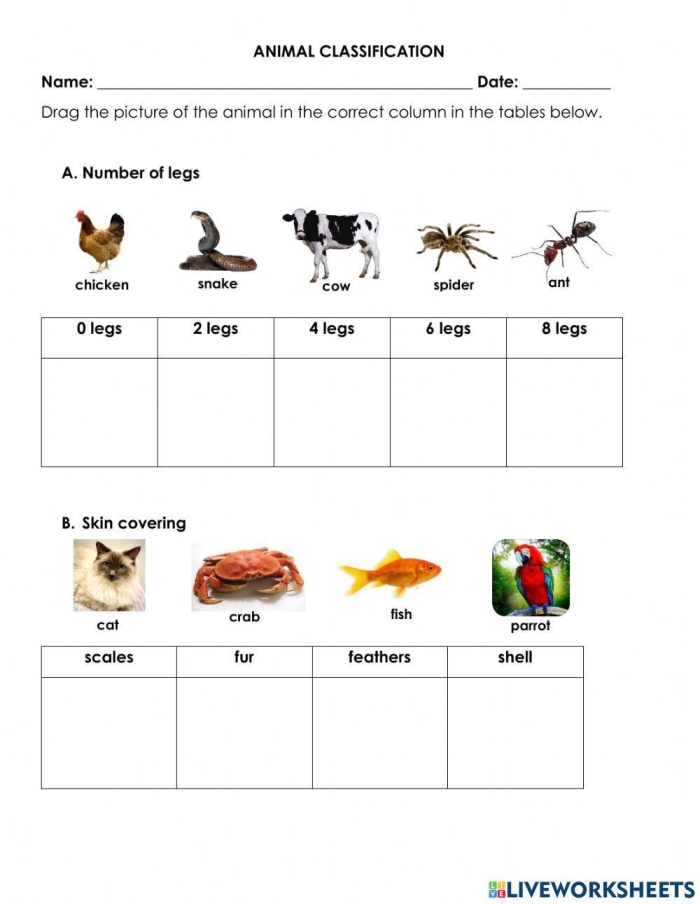 Second grade students matching various animal species in a life sciences worksheet