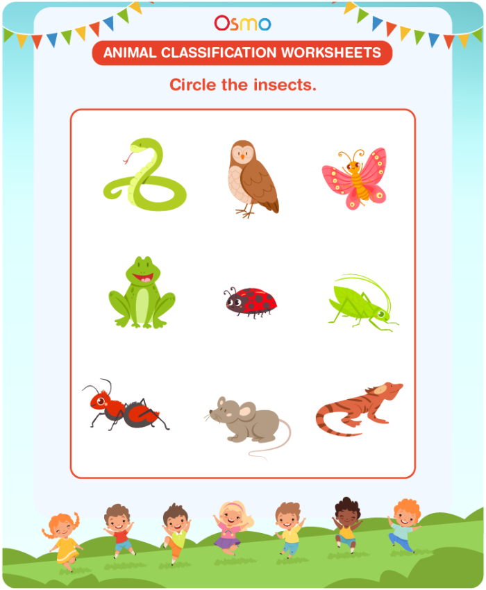Second grade students matching animals to categories in a life sciences worksheet