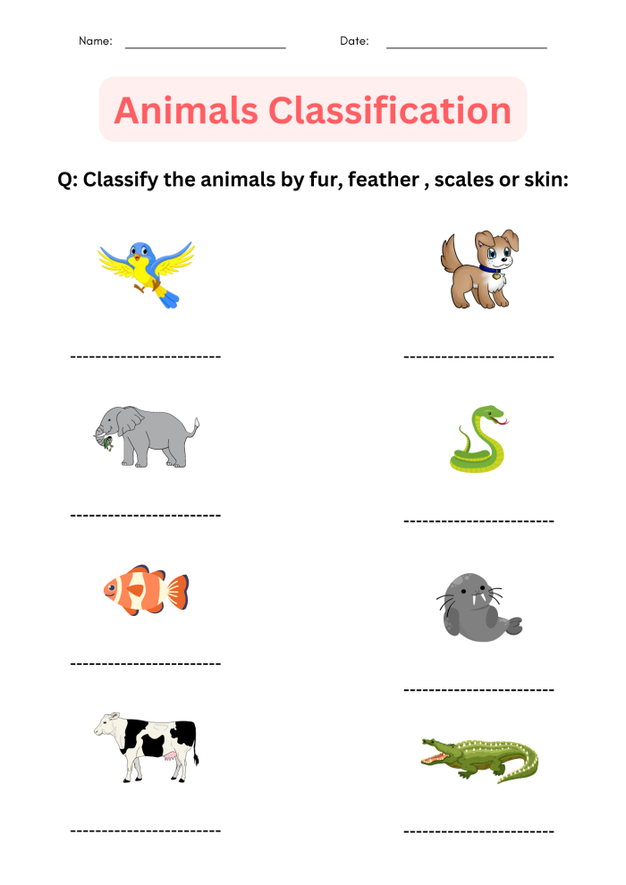 Worksheet for classifying animals in a life sciences activity for second graders