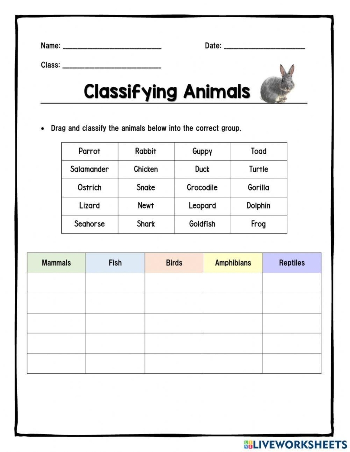 A colorful worksheet for second graders to classify different animals in a life sciences activity