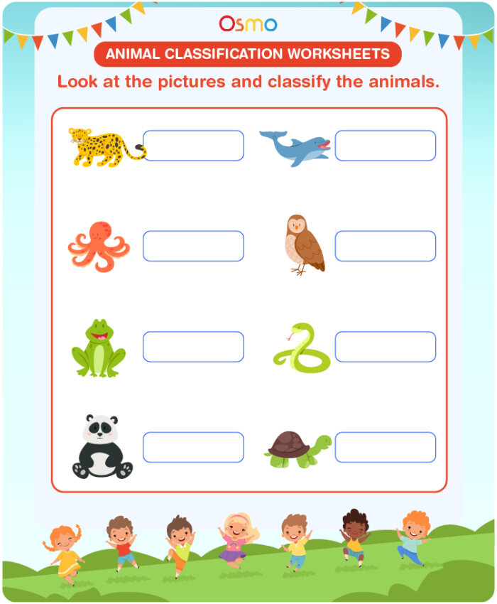 Worksheet featuring animals for classification in a life sciences activity