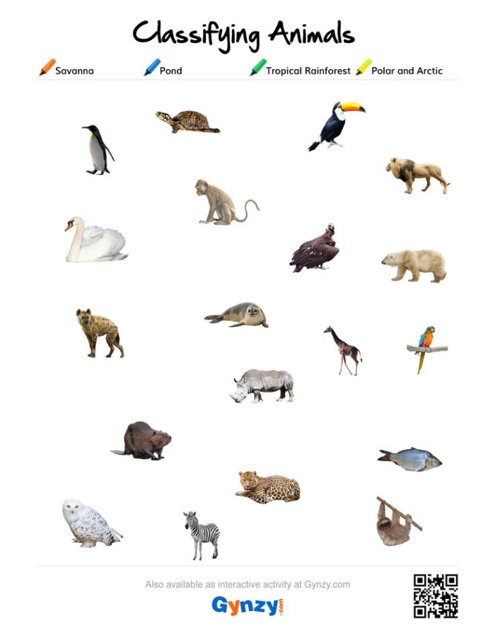 Worksheet for classifying various animals in a matching activity