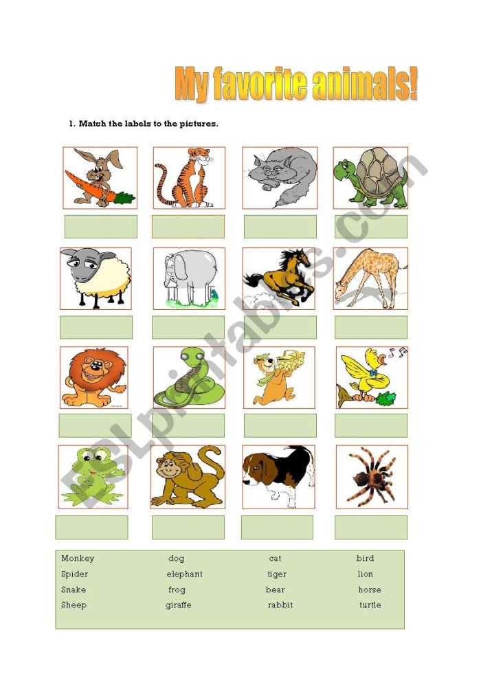 A second-grade student working on a "Your Favorite Animal" worksheet about decimals