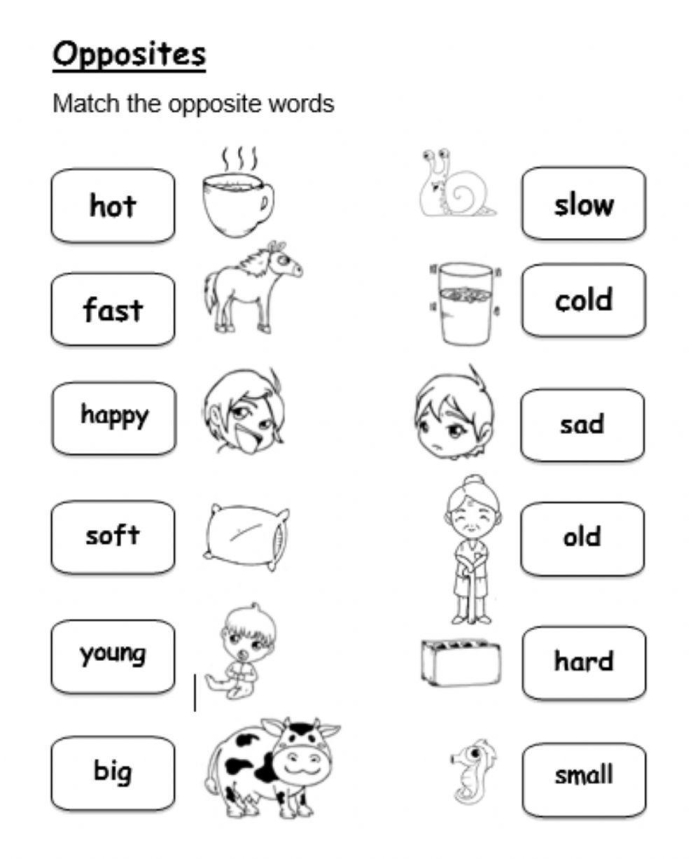 Antonyms Opposites Attract Worksheet 6 Second Grade Algebra Exercise Second grade student completing an antonyms opposites attract worksheet by circling the correct word choice