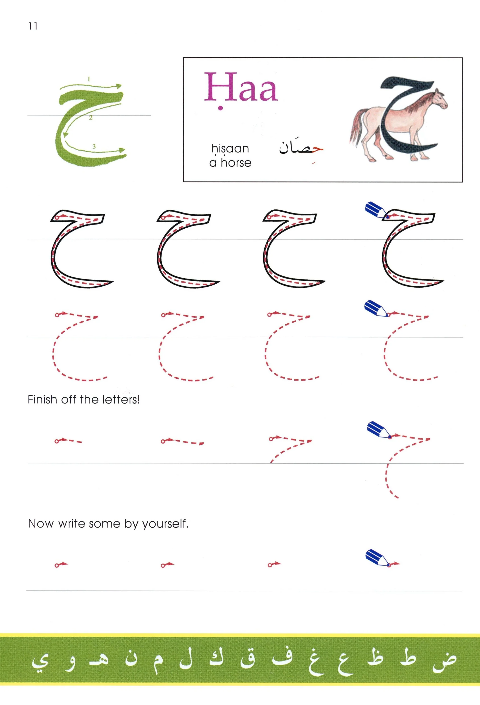Second grade physical science worksheet featuring interesting Arabian horse facts and a crossword puzzle