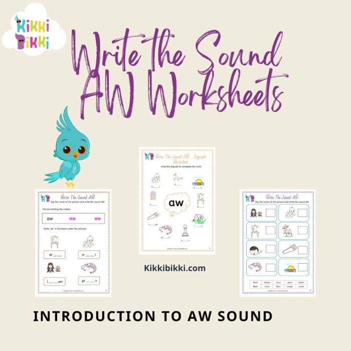 Aw Ow Sound Check-in Assessment Activity 14 Second grade phonics worksheet for assessing aw and ow vowel sound recognition with multiple choice and fill-in-the-blank exercises