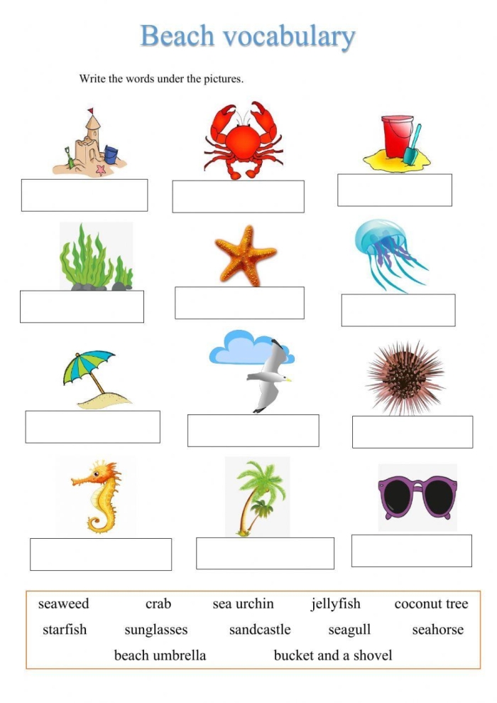 Number Patterns on the Beach Math Worksheet 20 Second grade math worksheet featuring number patterns with a fun beach theme