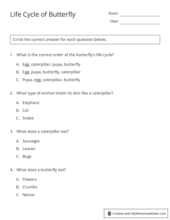 Colorful illustration of the life cycle of a butterfly, depicting its four stages for a second-grade math worksheet