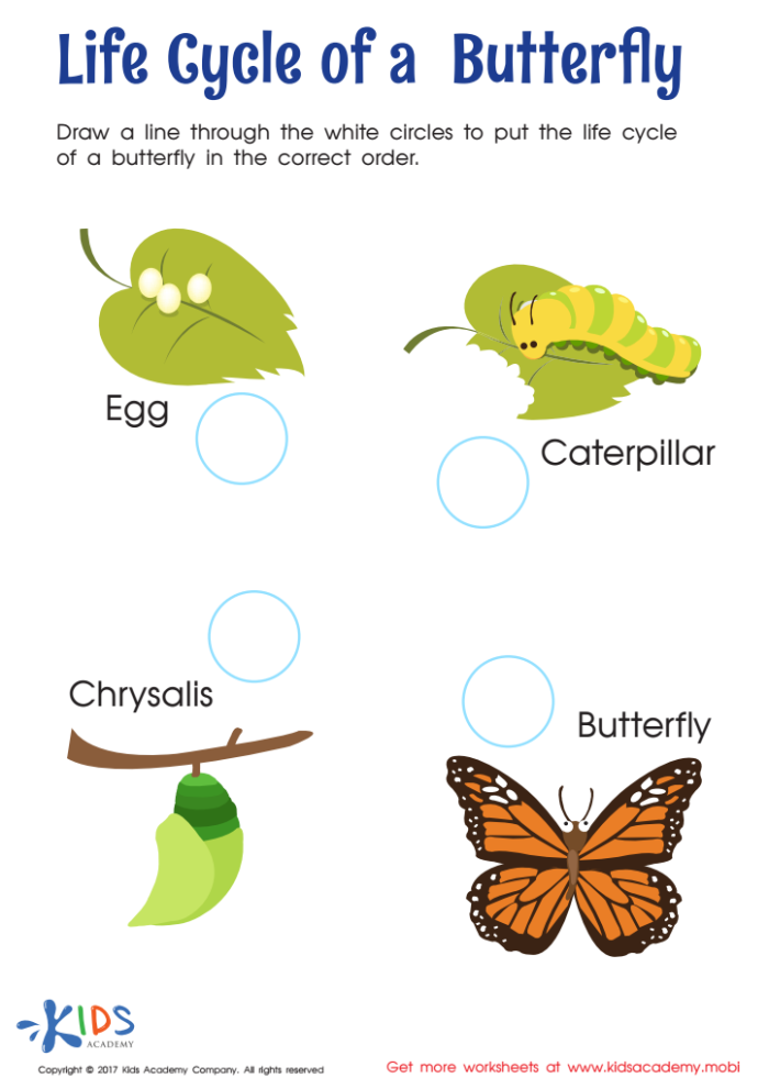 Second grade science worksheet illustrating the four developmental stages of a butterfly life cycle