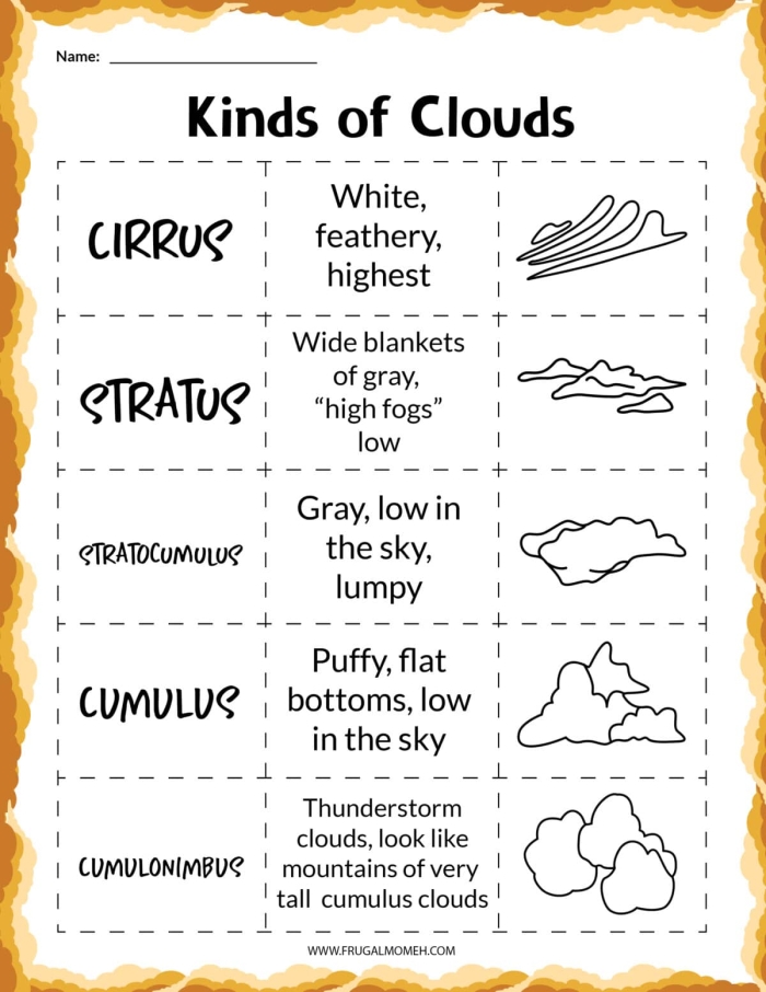 Educational worksheet on cloud types for enhancing reading skills in science. Colorful illustration of various types of clouds for second graders to explore.