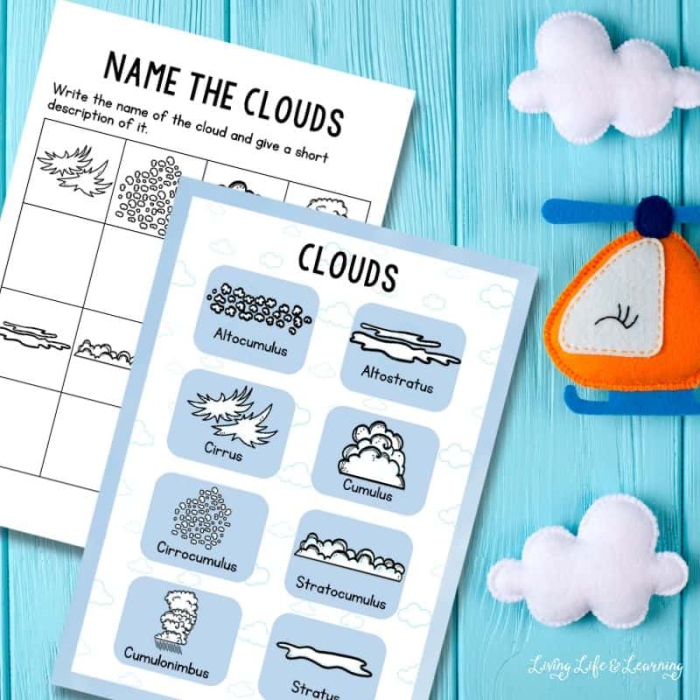 Educational resource for learning about clouds in a fun way Colorful worksheet illustrating various types of clouds for second graders