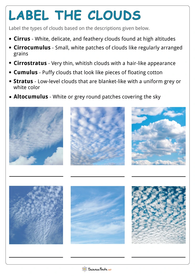 Types of Clouds educational worksheet for young learners A colorful worksheet illustrating various types of clouds for second graders