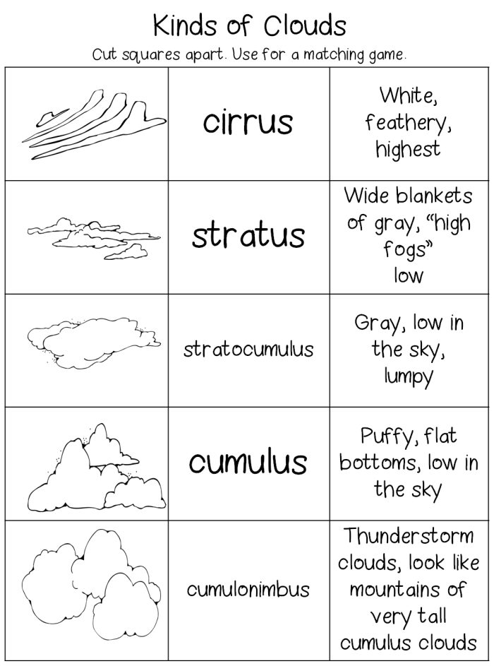 Educational resource featuring various cloud types for young learners Types of clouds illustrated in a worksheet for second graders