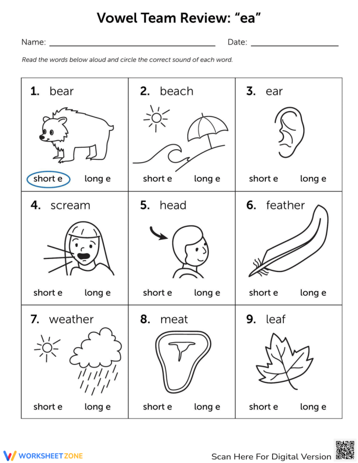 Vowel Team ea Phonics Practice Worksheet for Second Grade Lesson 7 Second grade student completing an educational worksheet to practice long and short ea vowel team sounds