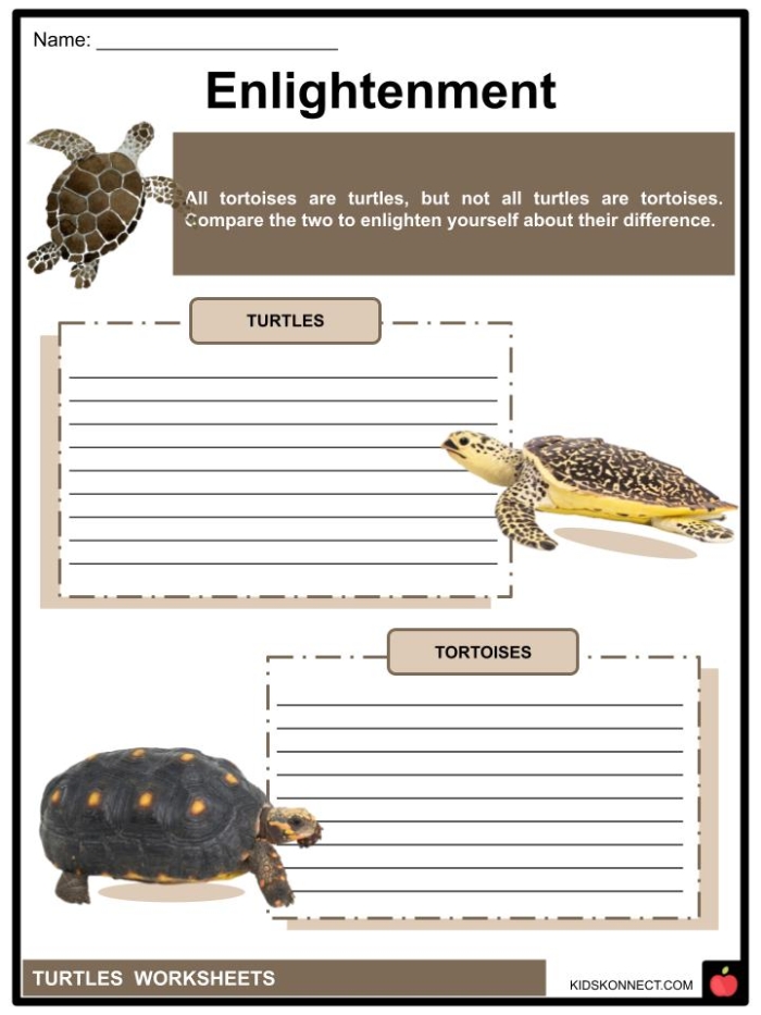 Second grade students practice identifying central messages in the Emily's Turtle measurement worksheet 11