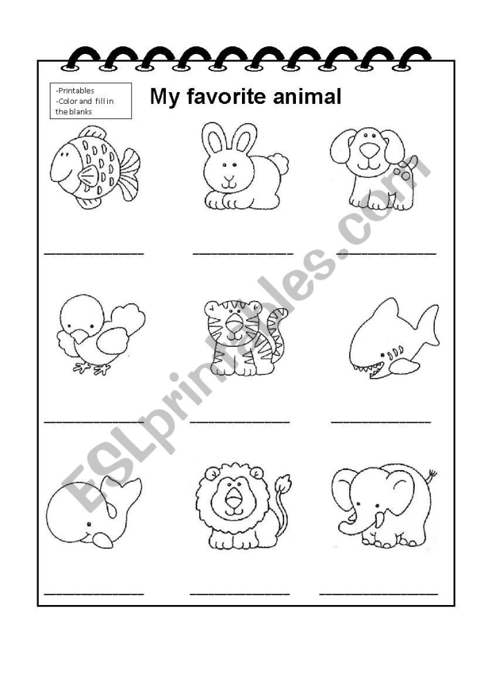 Worksheet featuring a second-grade activity on favorite animals with space for facts