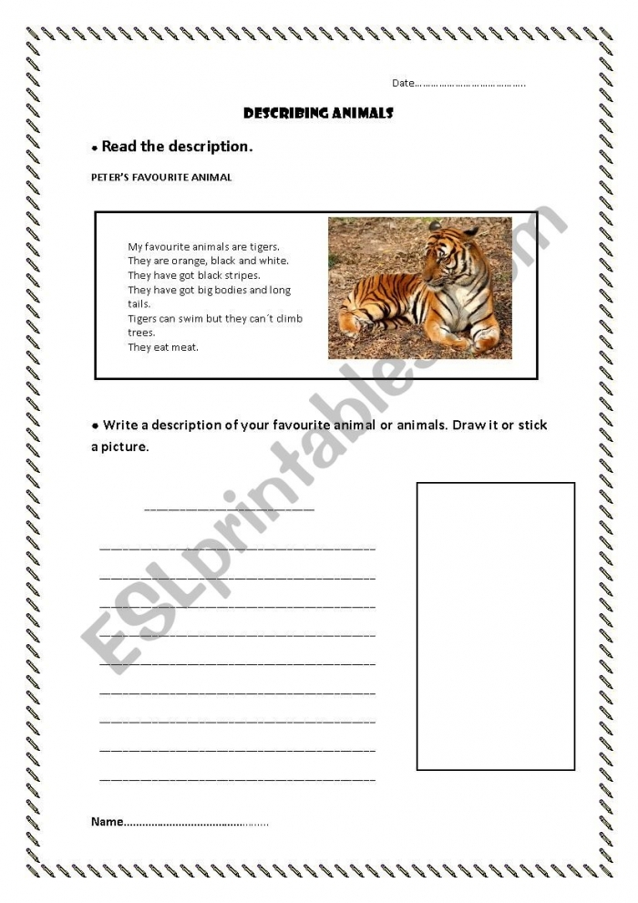 Worksheet for second graders about their favorite animal with space for facts