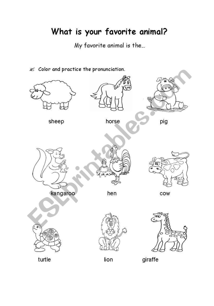Worksheet for writing about a favorite animal with space for facts