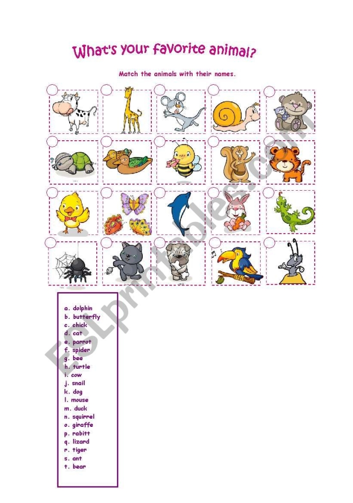 A second-grade student working on a worksheet about their favorite animal, focusing on decimals. Your Favorite Animal worksheet for second graders featuring research and writing activities.