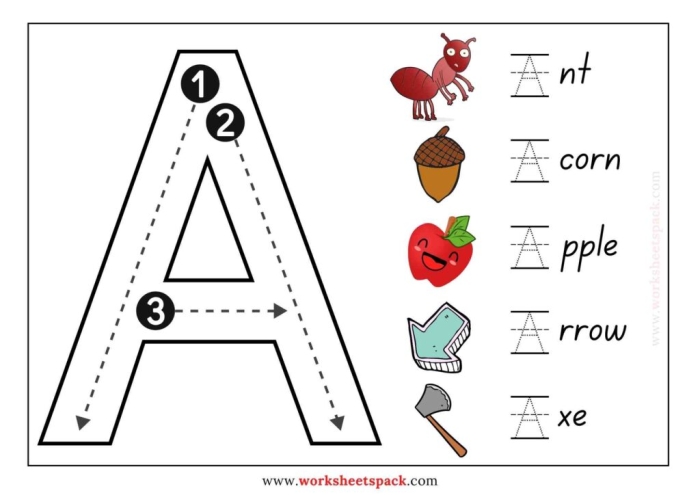 Fraction Practice: Find 1/2 worksheet for second grade students Worksheet for practicing the fraction 1/2, featuring items to circle