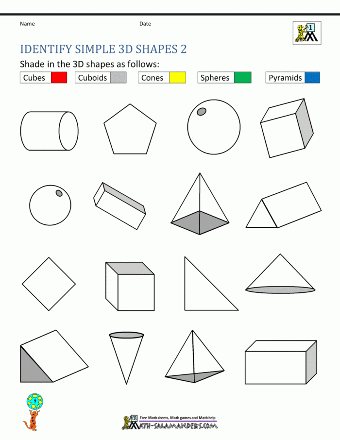 Second grade geometry worksheet for identifying and labeling 2-D and 3-D shapes number eleven